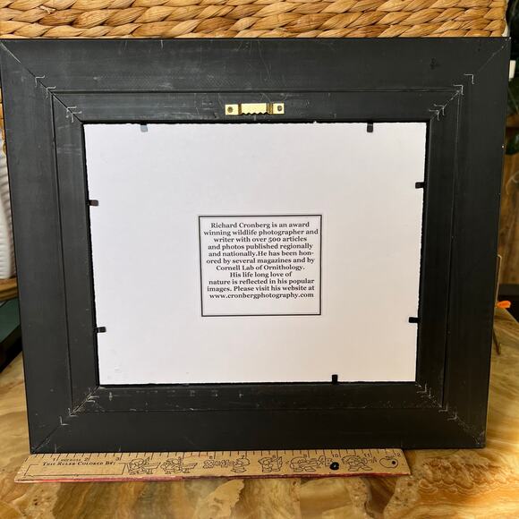 Bird Wildlife Photographed Signed and Framed - Picture 7 of 8